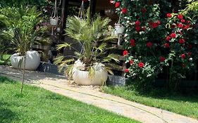 Cabana Sorina